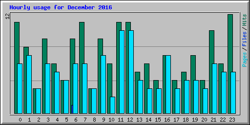 Hourly usage for December 2016