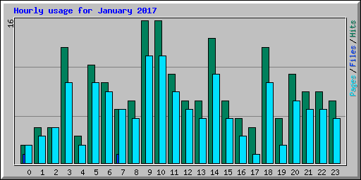 Hourly usage for January 2017