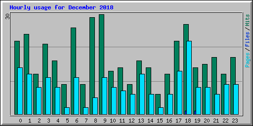 Hourly usage for December 2018