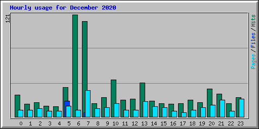 Hourly usage for December 2020