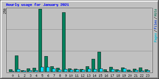 Hourly usage for January 2021