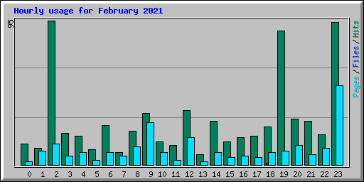 Hourly usage for February 2021