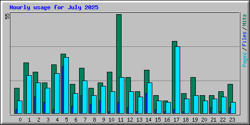 Hourly usage for July 2025
