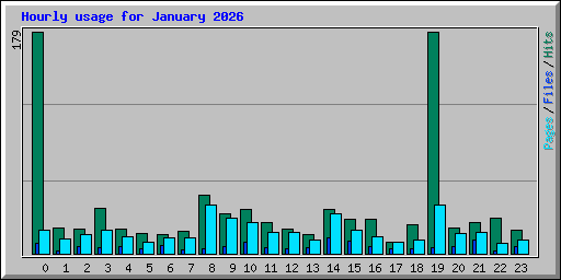 Hourly usage for January 2026